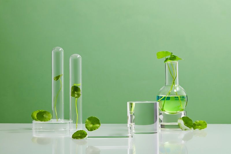 Biomaterials
