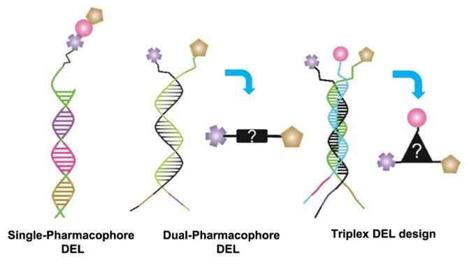 single-pharmacophore, dual-pharmacophore, triplexDELs