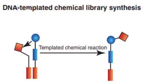 DNA-templated encoding strategies