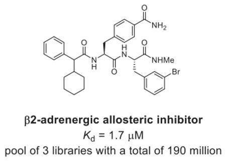 Beta2-adrenergic receptor