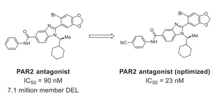 Protease-activated receptor 2