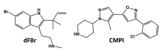 Alpha4Beta2 Nicotinic Acetylcholine Receptor Agonists