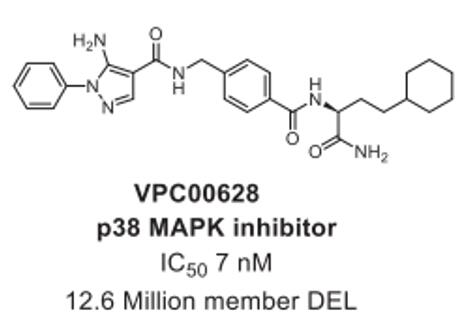 Mitogen-activated protein (MAP) kinase