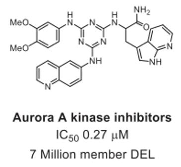 Aurora A Kinase