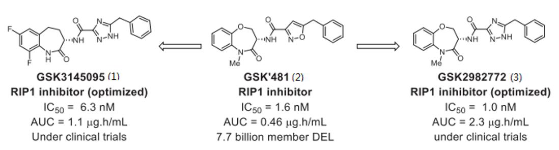 Receptor-interacting protein (RIP) kinase