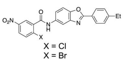 Potent Covalent PPARy Inverse-Agonists