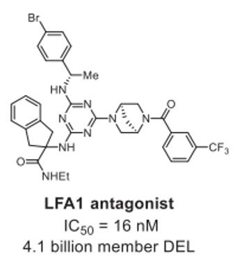 Lymphocyte Function-Associated Antigen 1 (LFA-1)