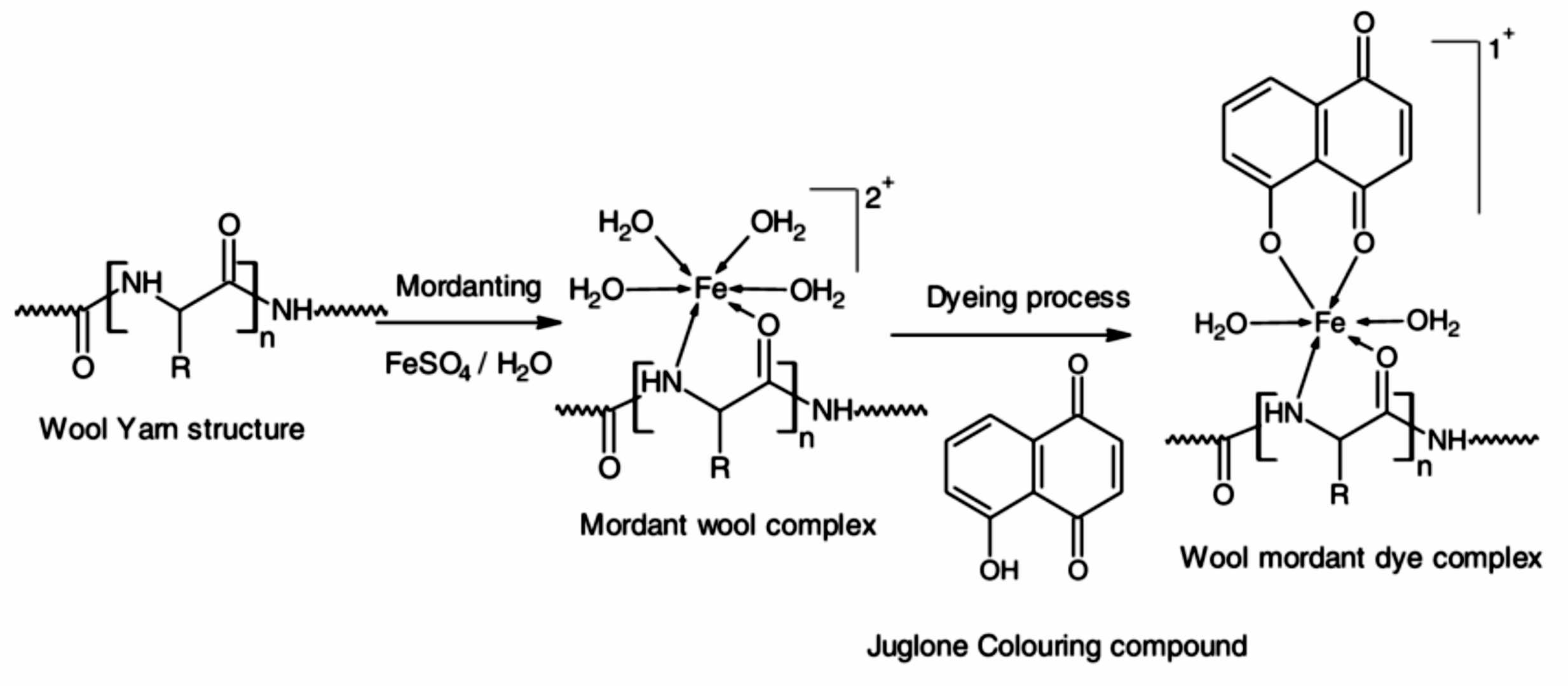 Fig.2 Wool-mordant-dye interaction.