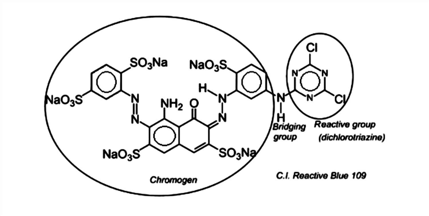 Fig.1 Structures of a reactive dye