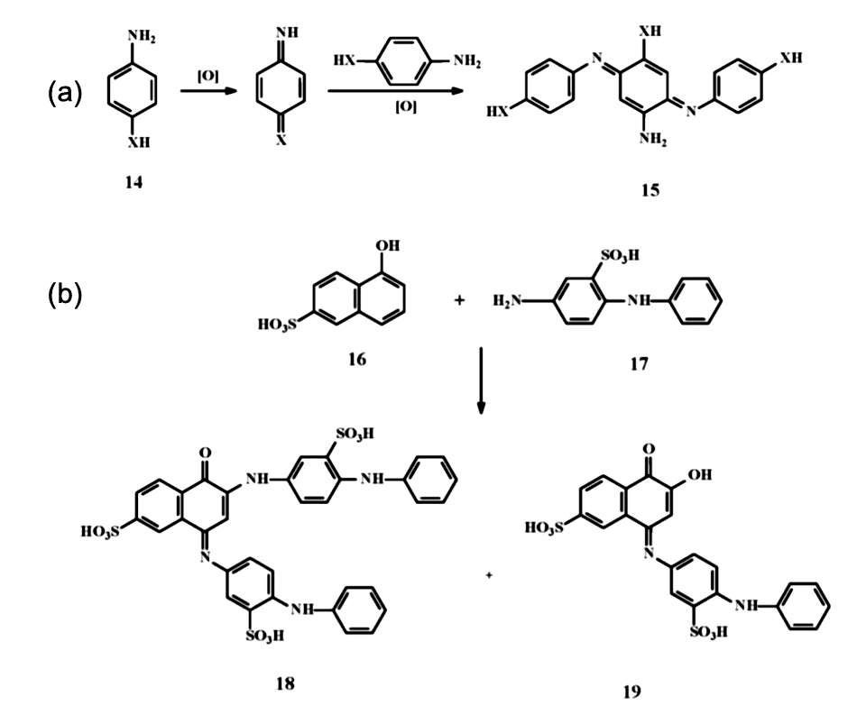 Fig.2 Oxidation of hair-dye formation from primary intermediates.