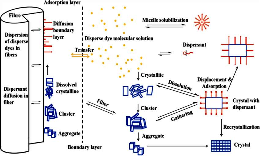Fig.3 The process of disperse dye with the help of dispersant