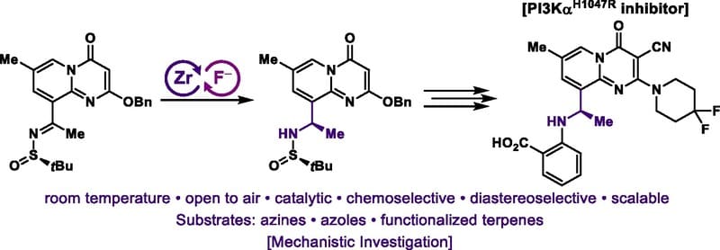 Zirconium Hydride Catalysis Initiated by Tetrabutylammonium Fluoride