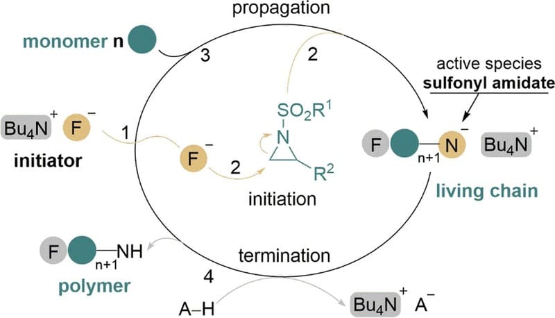 Tetrabutylammonium fluoride initiated anionic ring-opening polymerizations of N-sulfonyl aziridines