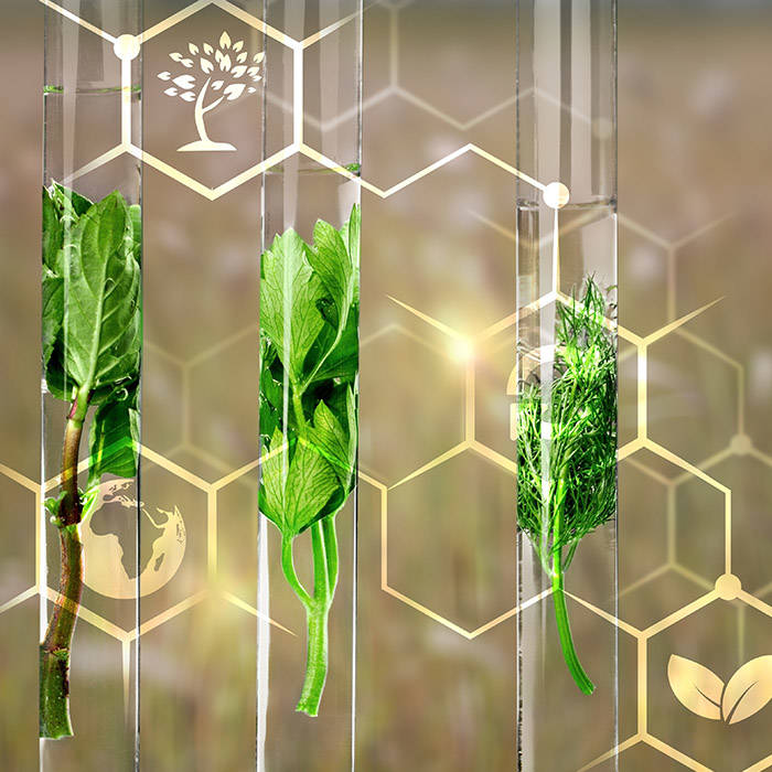 Agrochemicals