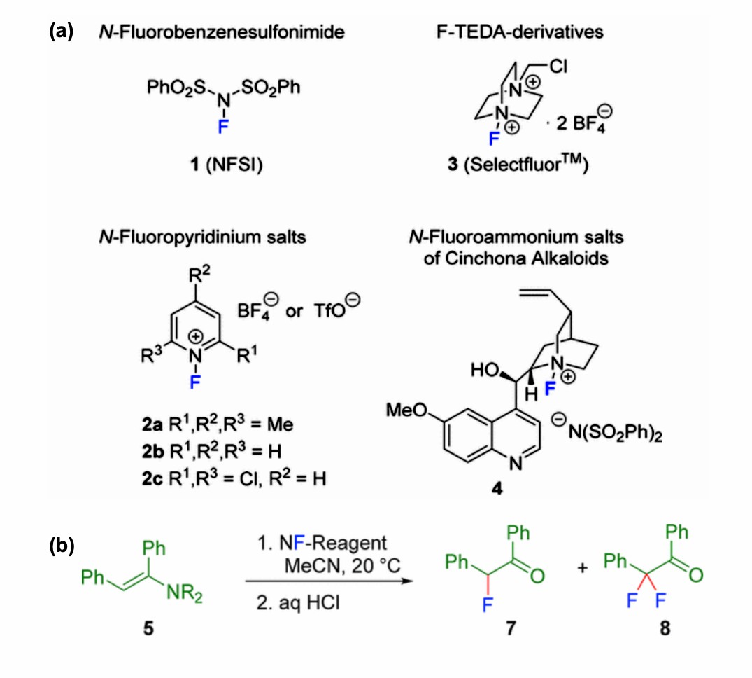 Fig.2 Reaction of enamines with N-F reagents in acetonitrile