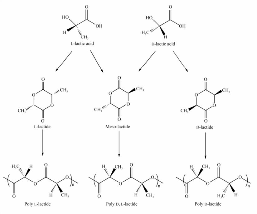 Stereoisomers of lactic acid monomer, lactide and polylactic acid