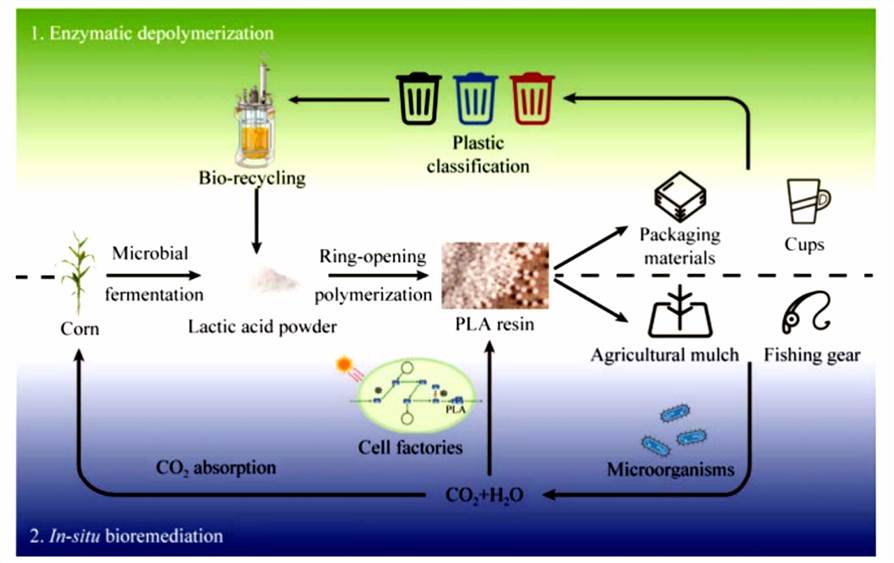 Biological treatment of PLA waste