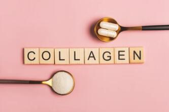 Recombinant Human Collagen Type IV / COL4