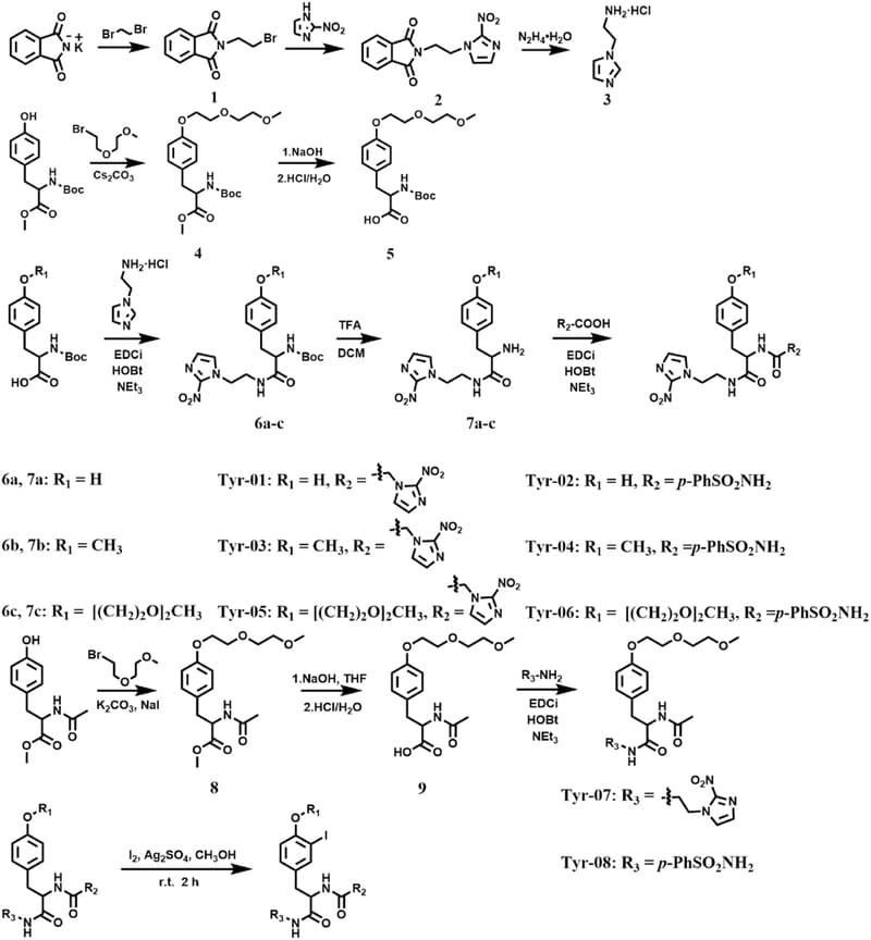 Synthesis and in vitro evaluation of radioiodine labeled hypoxia-targeted drugs containing 2-nitroimidazole and benzenesulfonamide groups