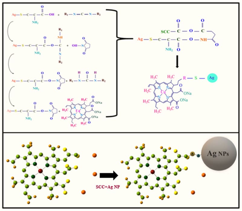 Sodium copper chlorophyllin conjugated with Ag plasmonic nanoparticles as efficient nanostructure for application in photodynamic therapy