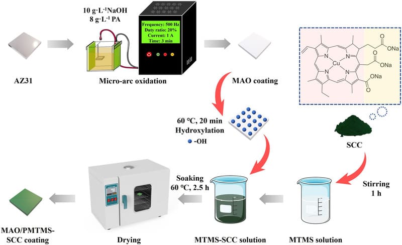 In vitro degradation, photo-activated antibacterial activity of sodium copper chlorophyllin crosslinked-polysilane composite coating on magnesium alloys