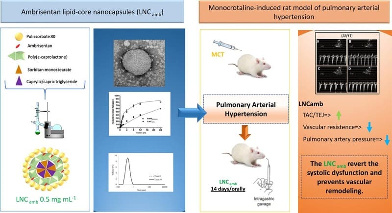 Oral delivery of ambrisentan-loaded lipid-core nanocapsules as a novel approach for the treatment of pulmonary arterial hypertension