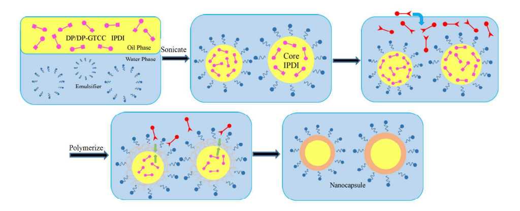The schematic process of preparing DP nanocapsules or DP-GTCC nanocapsules