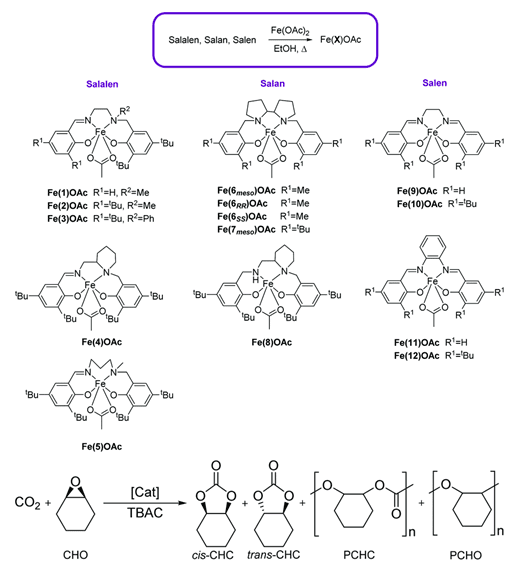 Preparation of Iron(III)-Acetate Complexes and Their Catalytic Application