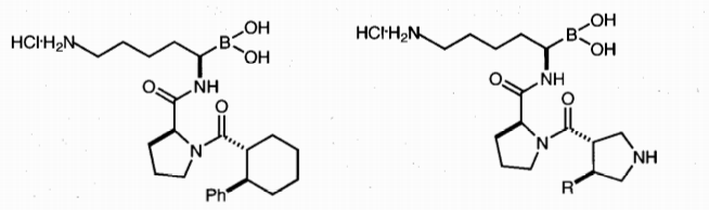 Boronic Compounds