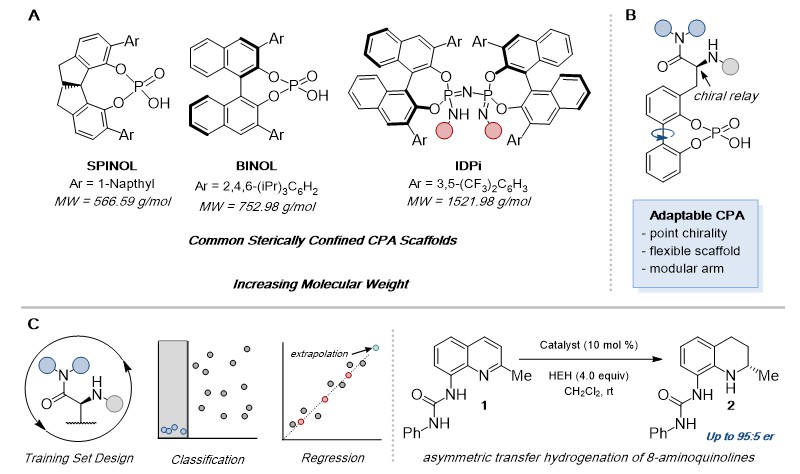 Data Science Helps Development of Novel Chiral Phosphoric Acid Catalysts