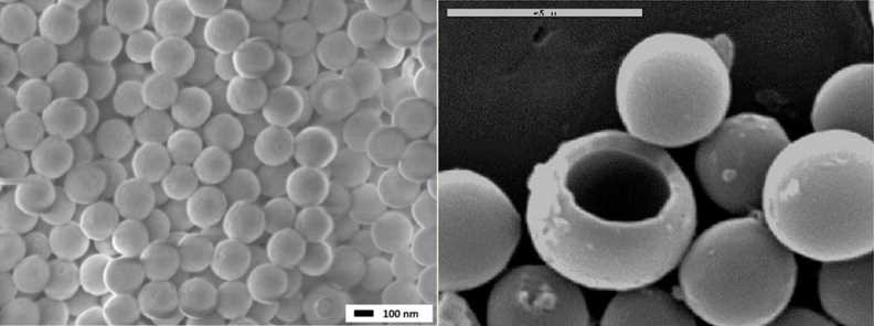 SEM of hollow nanospheres