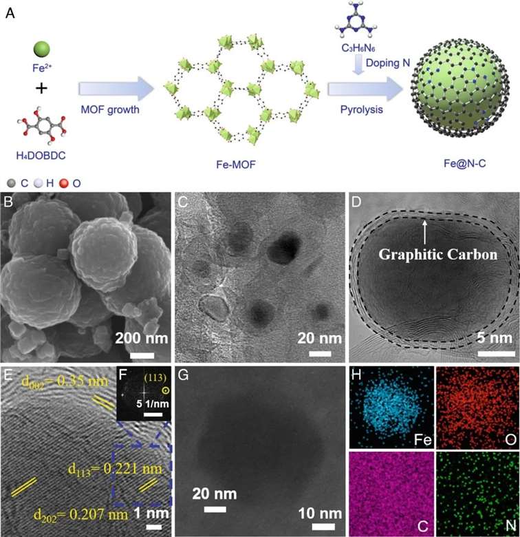 Nitrates Salts Converting by N-doped Carbon–iron Heterointerfaces