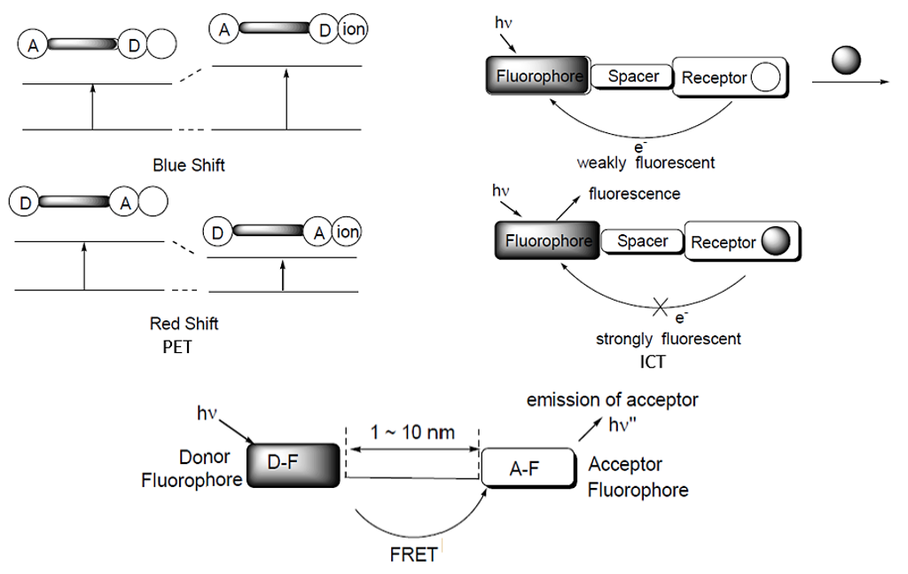 Three Fluorescence mechanism of BODIPY fluorescent sensor