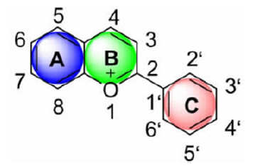 The structure of anthocyanin