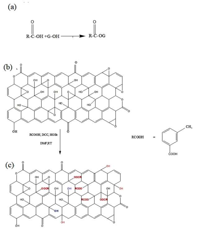 Schematic diagram of coupling m-toluic acid on GO surface by esterification reaction