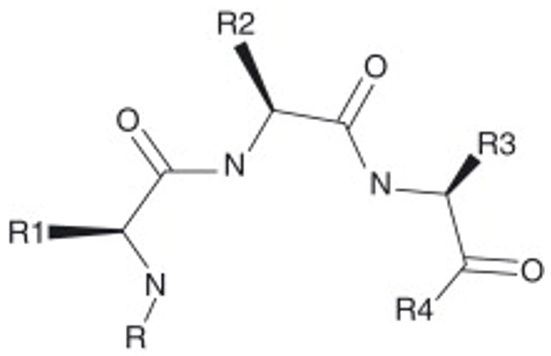 General formula of peptide