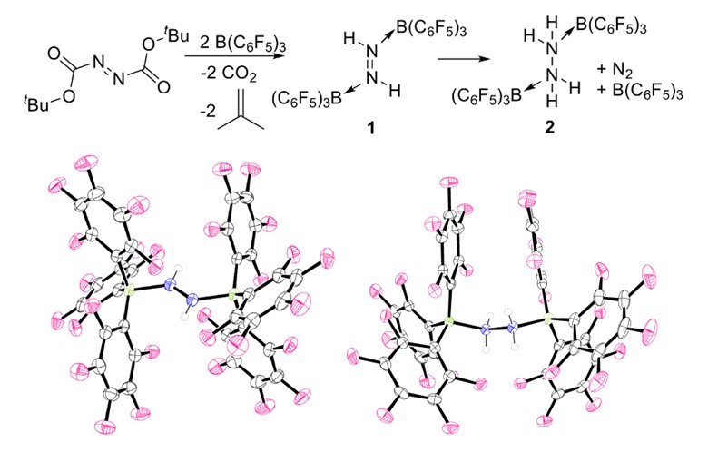 Obtain a stable N2 Reduction intermediate from an azo compound containing a Boc protecting group