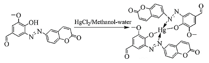 Proposed binding mode of probe with Hg2+