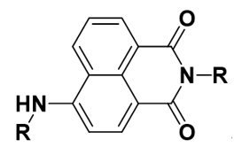 The structure of naphthalimide derivatives