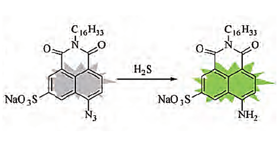 Schematic illustrations of SnHN-N3 with H2S