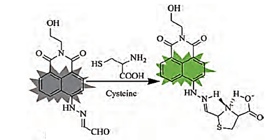 Fluorescence response schematic illustration of NAD toward cysteine