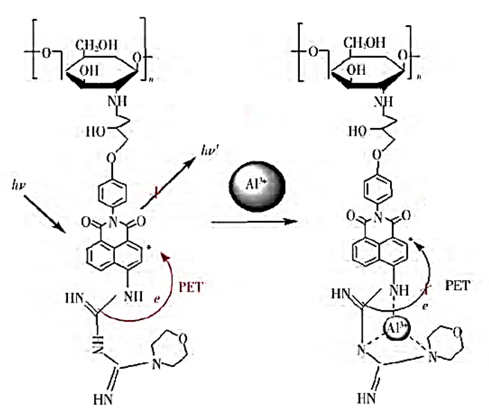 Proposed mechanism between probe molecule and Al3+