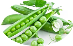 Pea peptide