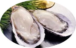 Oyster peptide