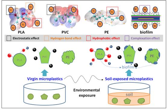 Study on the Adsorption Effect of Polylactic Acid on Tetracycline